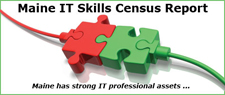Skils Census Report